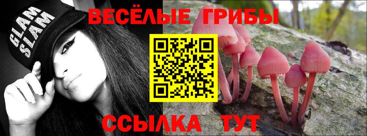 Галлюциногенные грибы Psilocybine cubensis  Галлюциногенные грибы MAGIC MUSHROOMS  Вход с VPN  Сердобск 